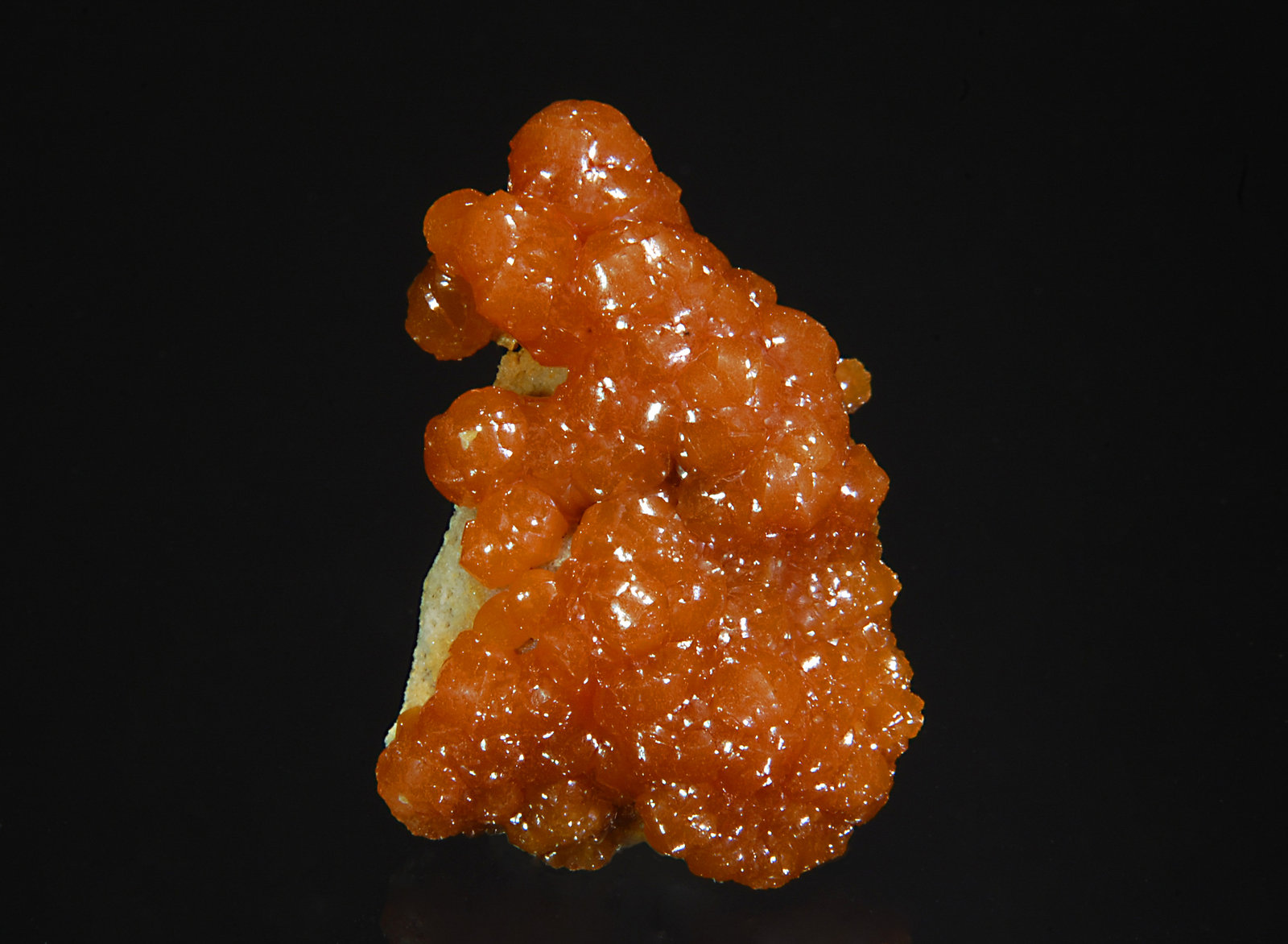 Pyromorphite
2.3 x 3.1 cm
(Autor: Michael Shaw)
