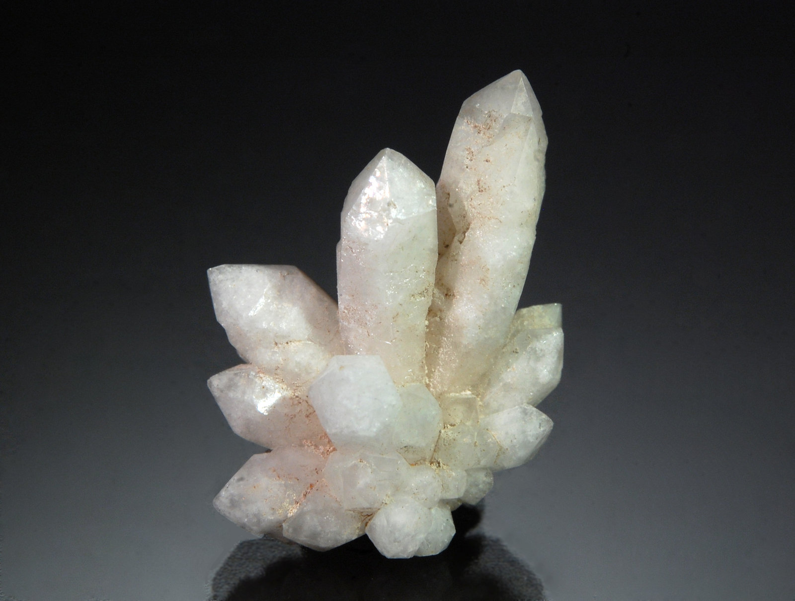 Quartz
1.9 cm x 2.0 cm
(Autor: Michael Shaw)