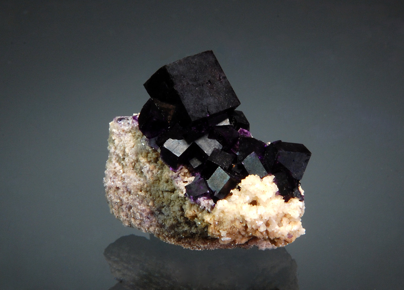 Fluorite
2.7 x 2.9 cm
(Autor: Michael Shaw)
