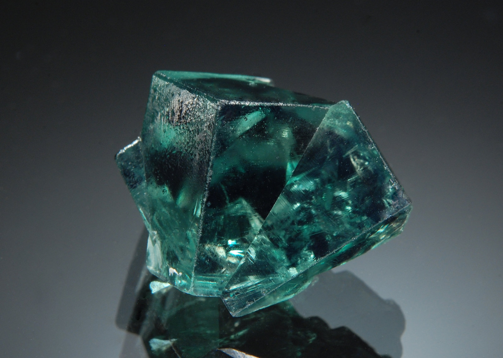 Fluorite
2.5 x 2.8 cm
(Autor: Michael Shaw)