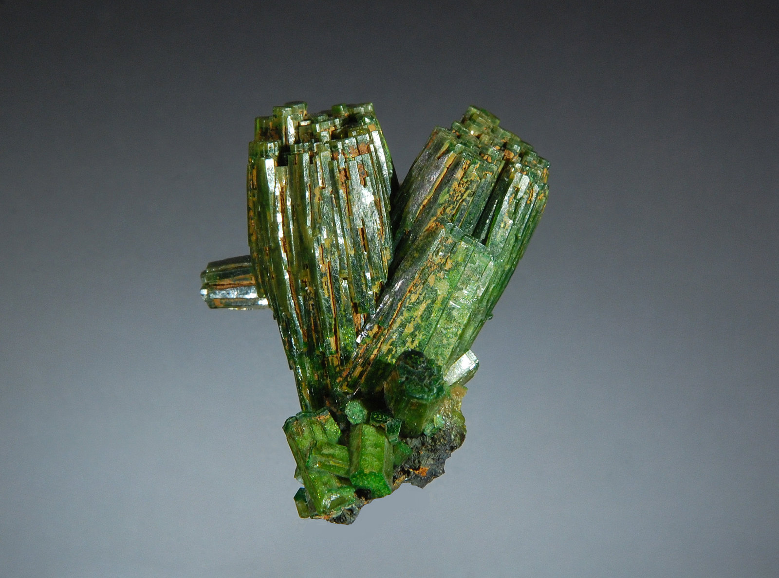 Pyromorphite
1.5 x 2.0 cm
(Autor: Michael Shaw)