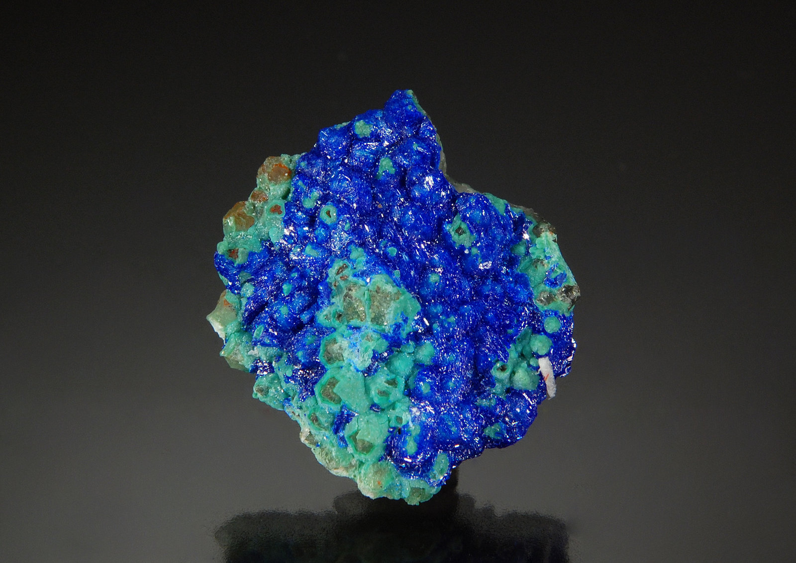 Linarite
2.1 cm x 2.5 cm
(Autor: Michael Shaw)