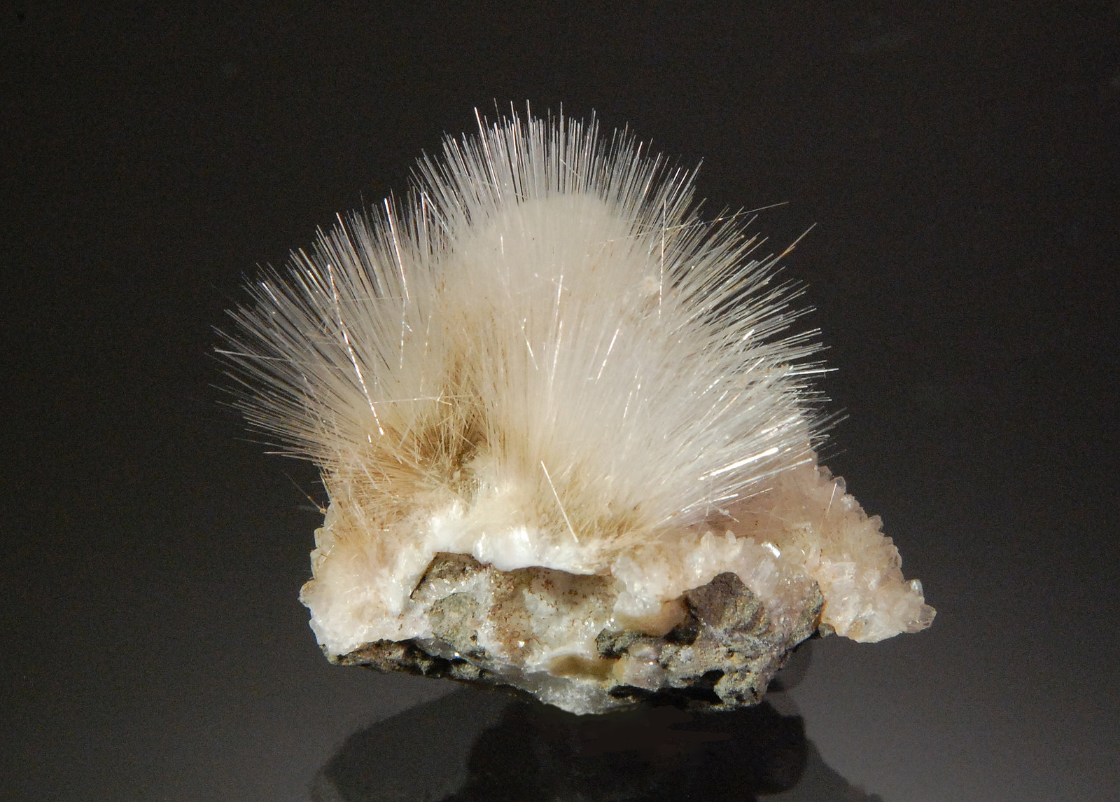 Mesolite
2.5 x 2.0 cm
(Autor: Michael Shaw)