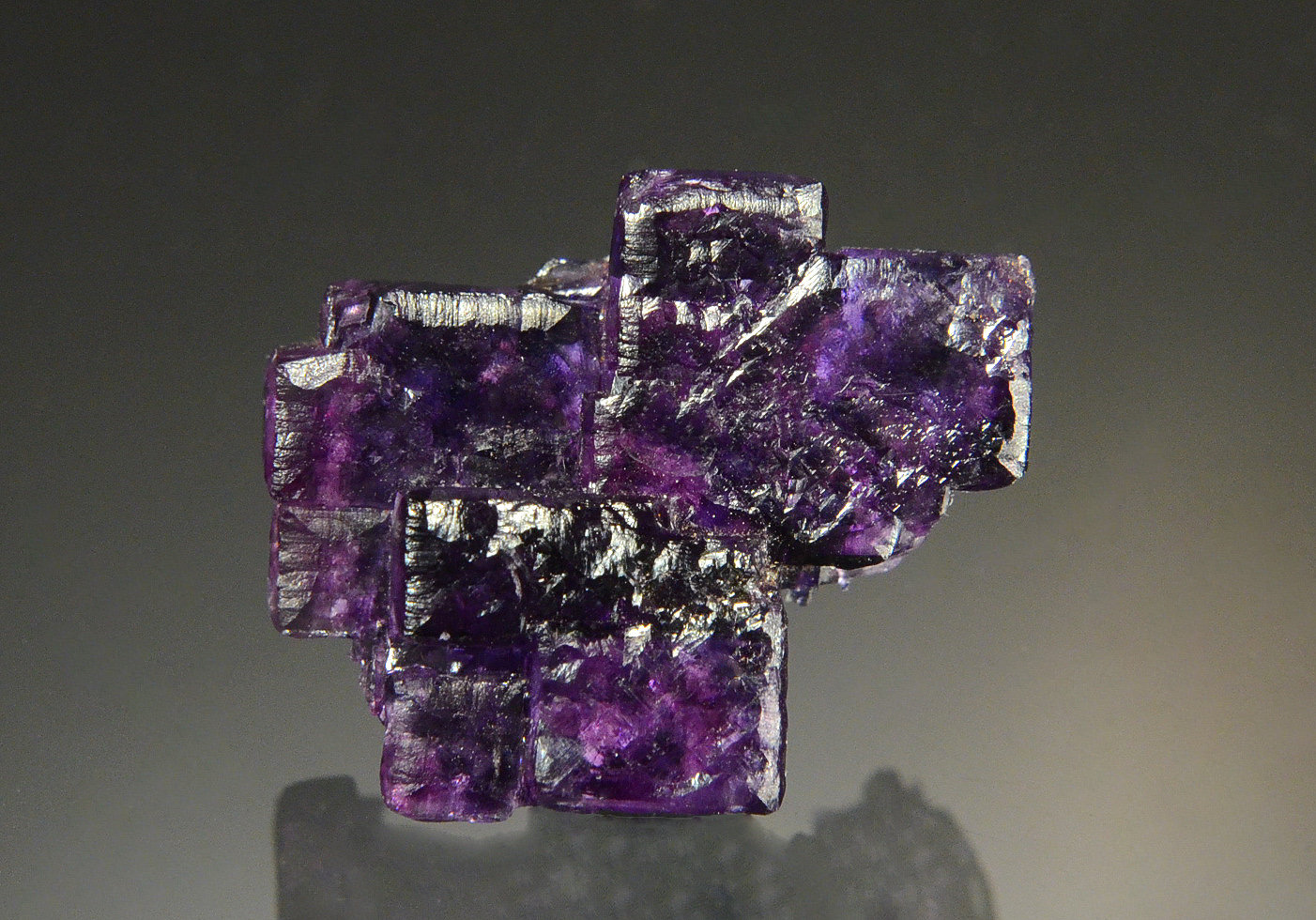 Fluorite
2.3 x 2.0 cm
(Autor: Michael Shaw)