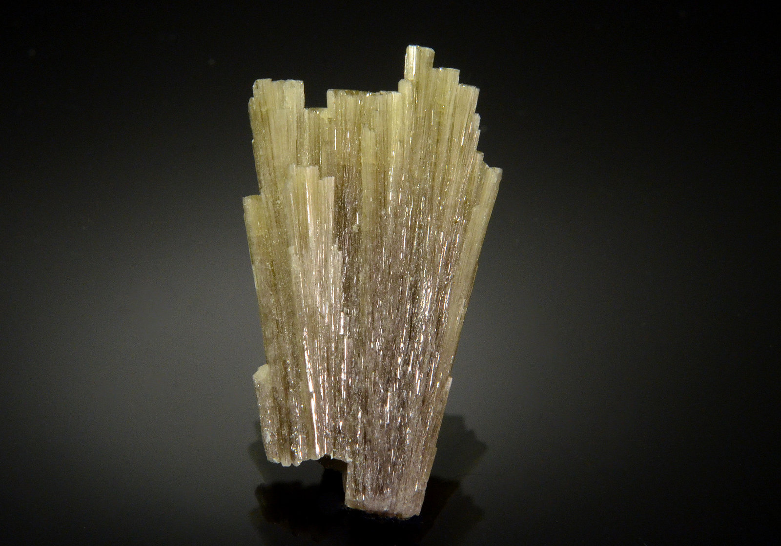 Diopside
2.7 x 1.8 cm
(Autor: Michael Shaw)
