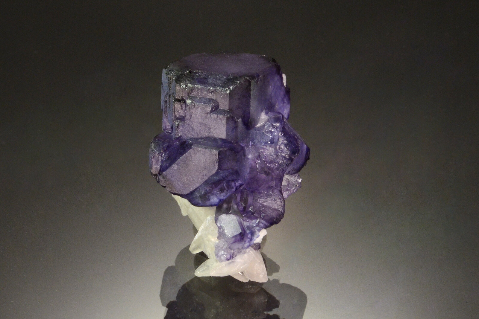 Fluorite
Milpo Mine, Cerro de Pasco, Atacocha mining district, Pasco Province, Pasco Department, Peru
2.8 x 1.5 cm
(Autor: Michael Shaw)