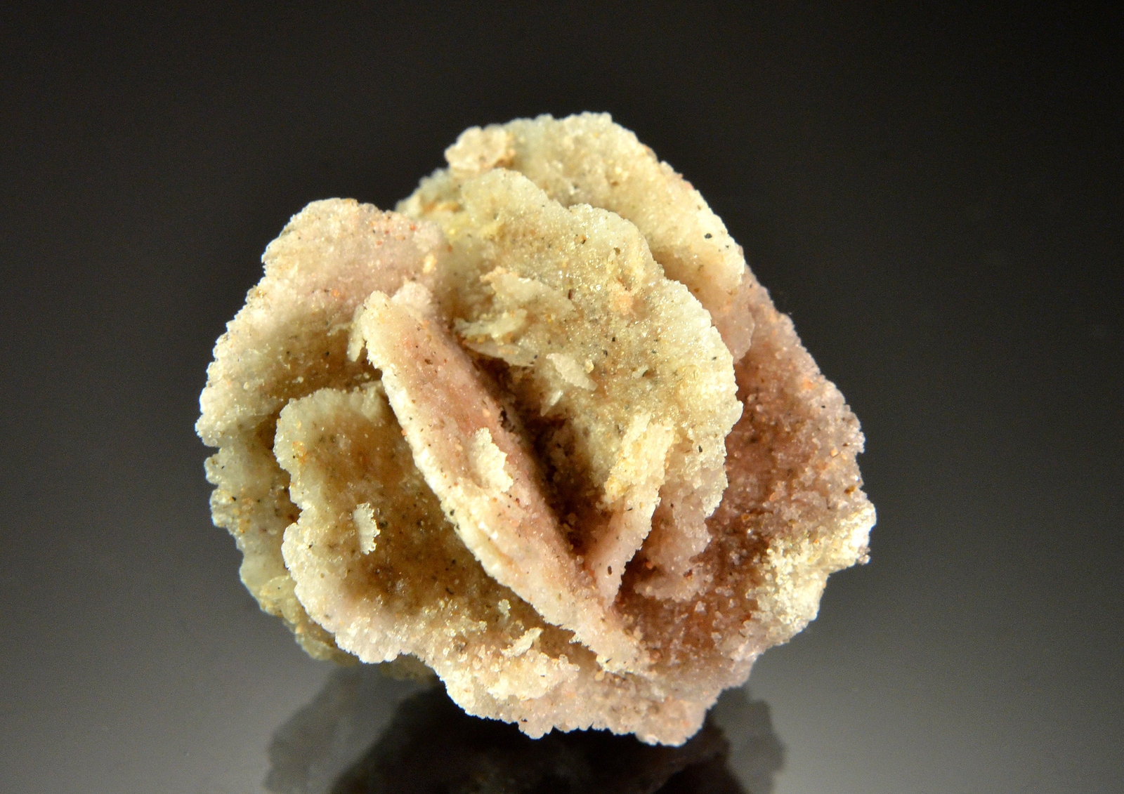 Gypsum
2.4 x 2.0 cm
(Autor: Michael Shaw)