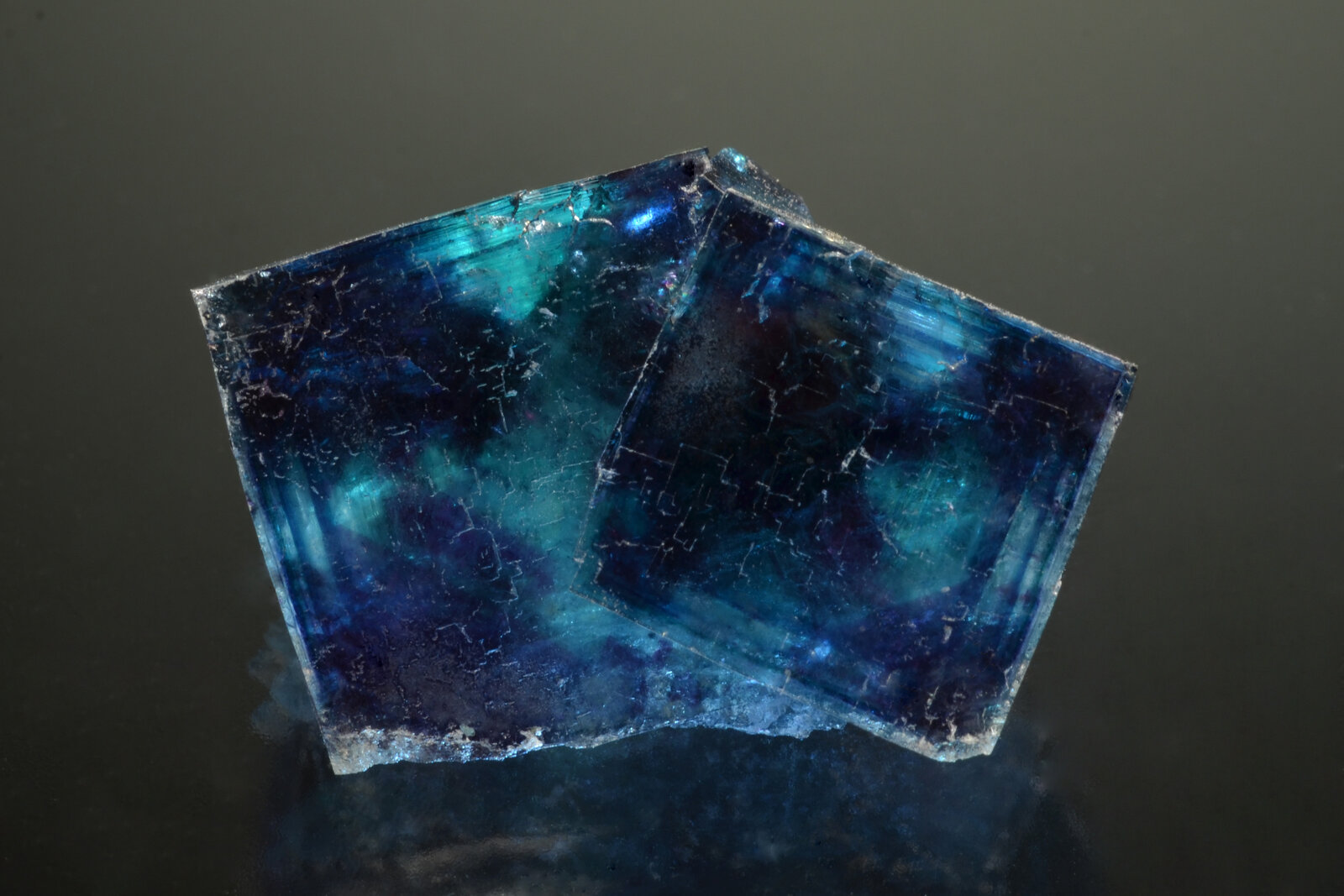 Fluorite
Okorusu Mine, Otjiwarongo District, Otjozondjupa Region, Namibia
2.7 x 1.8 cm
(Autor: Michael Shaw)