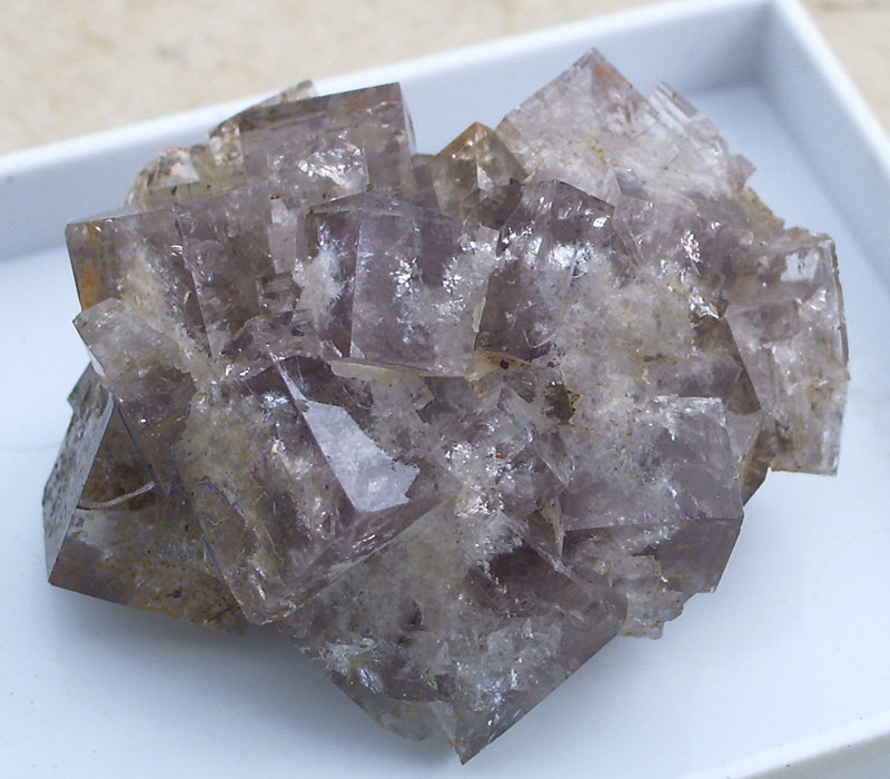 Fluorite
8mm
(Autor: colin robinson)