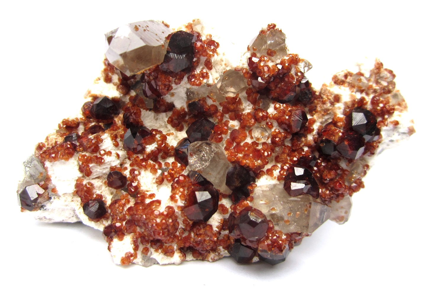 Spessartine and smoky quartz on feldspar
Specimen size 8 cm
(Autor: Tobi)