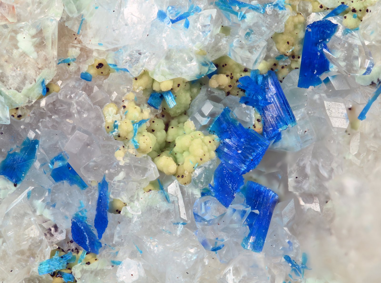 Kinoite, Apophyllite, Gilalite, Cuprite
3.3 cm x 1.5 cm x 1.4 cm
(Autor: Antonio Nazario)