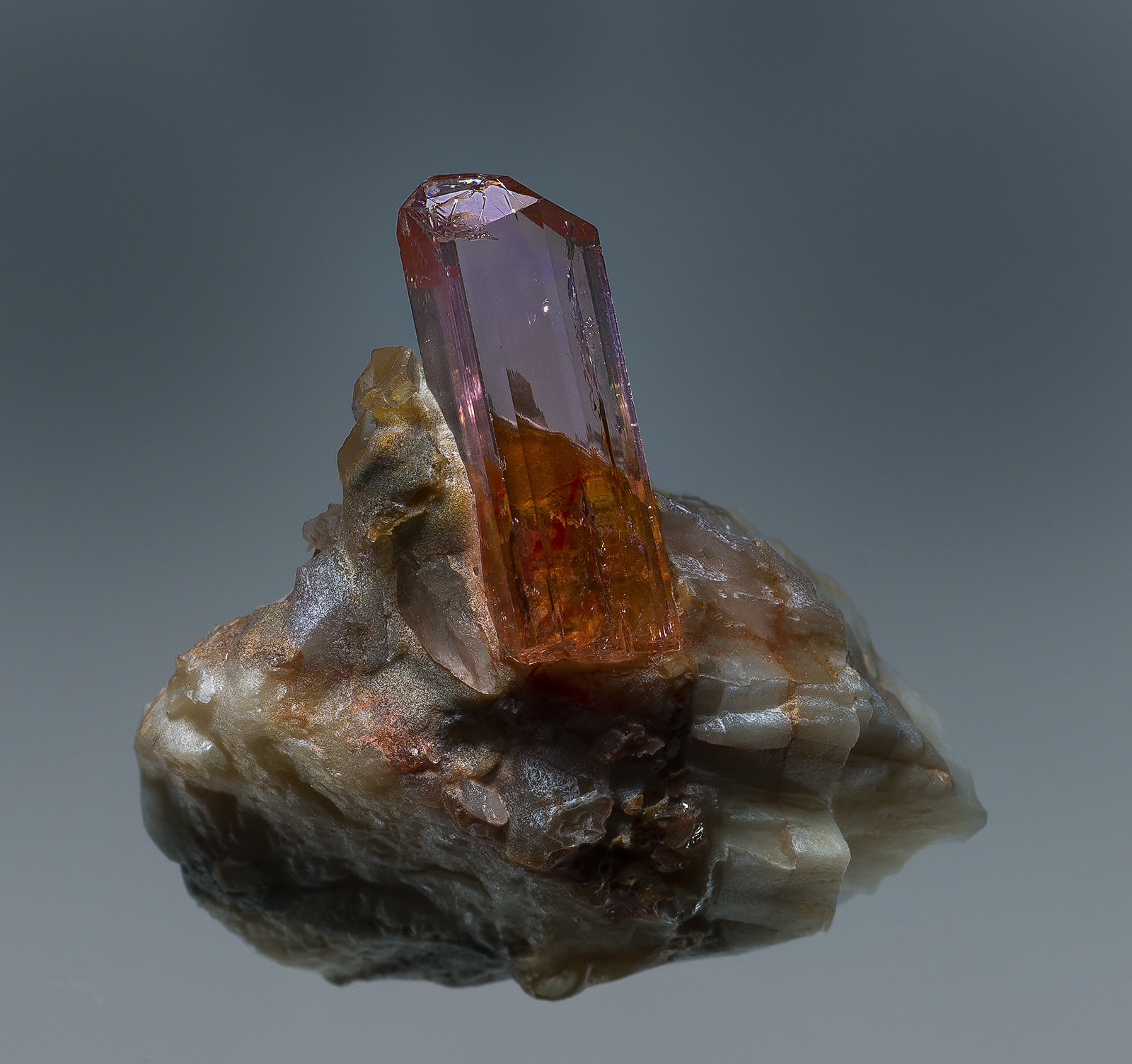(Autor: am mizunaka)