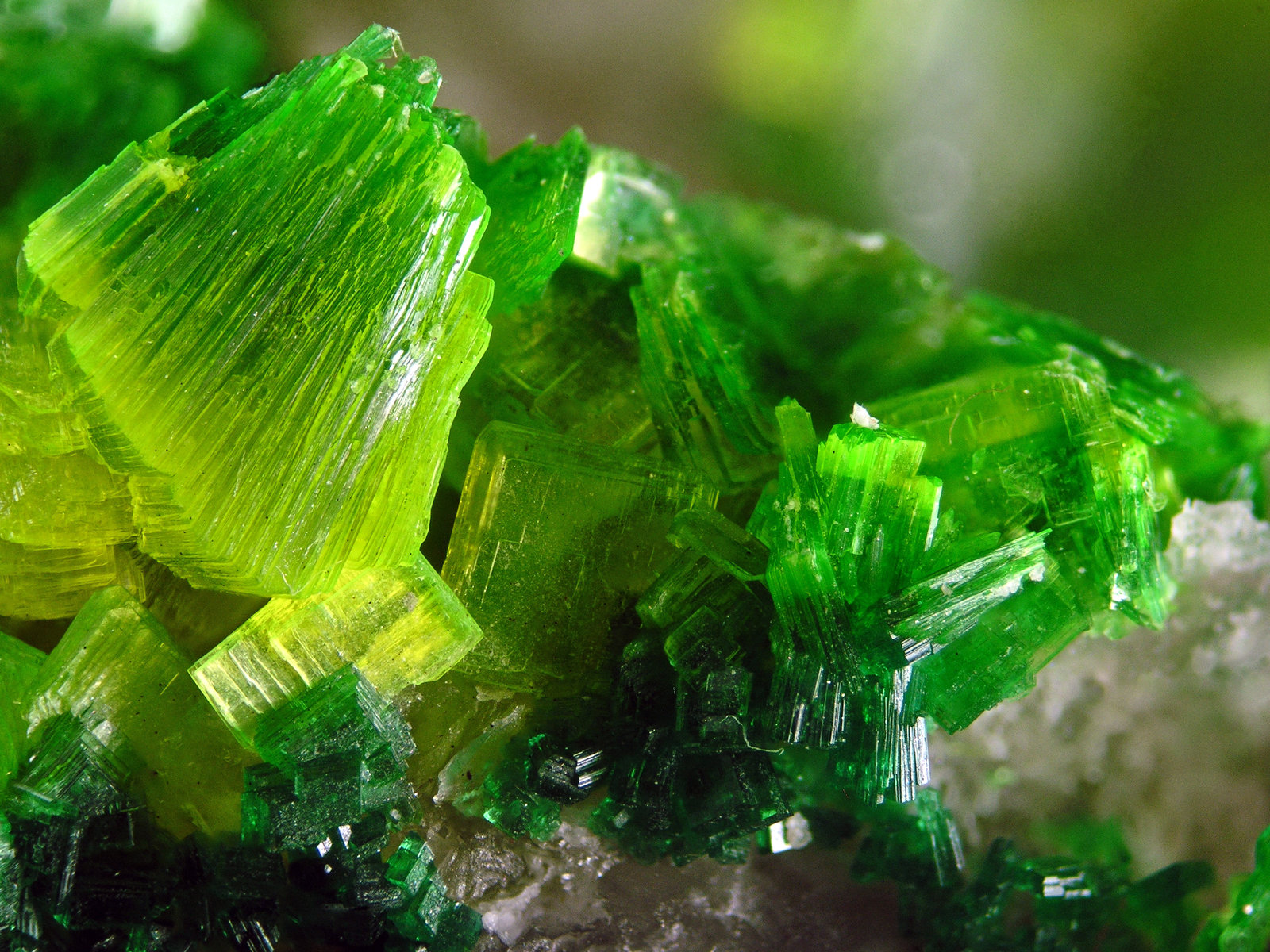 Saléeite and Torbernite
FOV 1.2 cm
(Autor: Cesar M. Salvan)