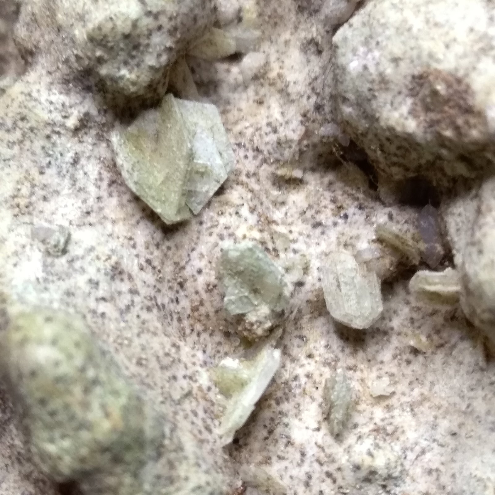 Tridymite
5,5 cm x 5 cm
(Autor: Sante Celiberti)