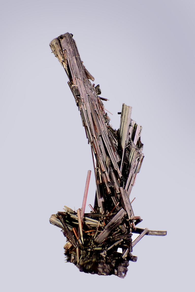 Schorl
24 mm
(Autor: Gerhard Brandstetter)