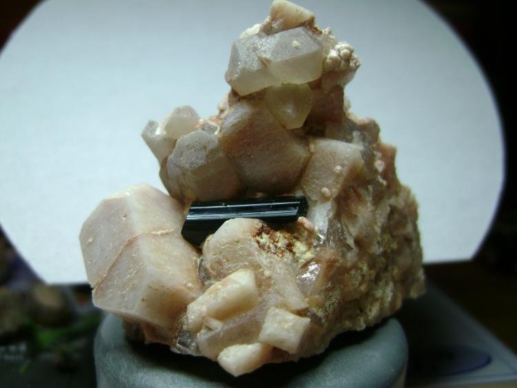 Tourmaline (Group), Microcline, Quartz
Tourmaline size: 2.3 cm
(Autor: ApitaAngel)