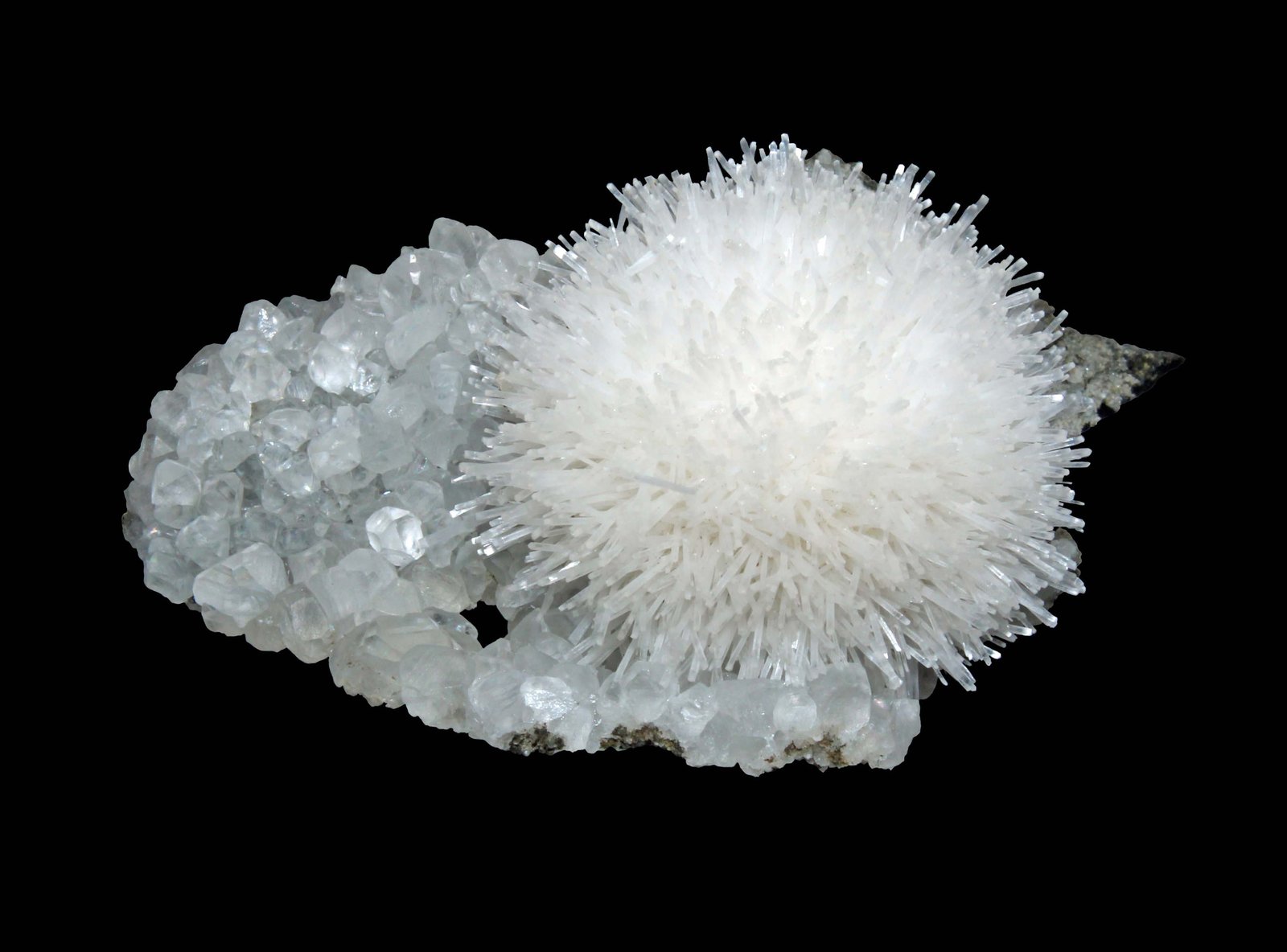 Natrolite
5.8 x 3.3 cm
(Autor: Frank Imbriacco)