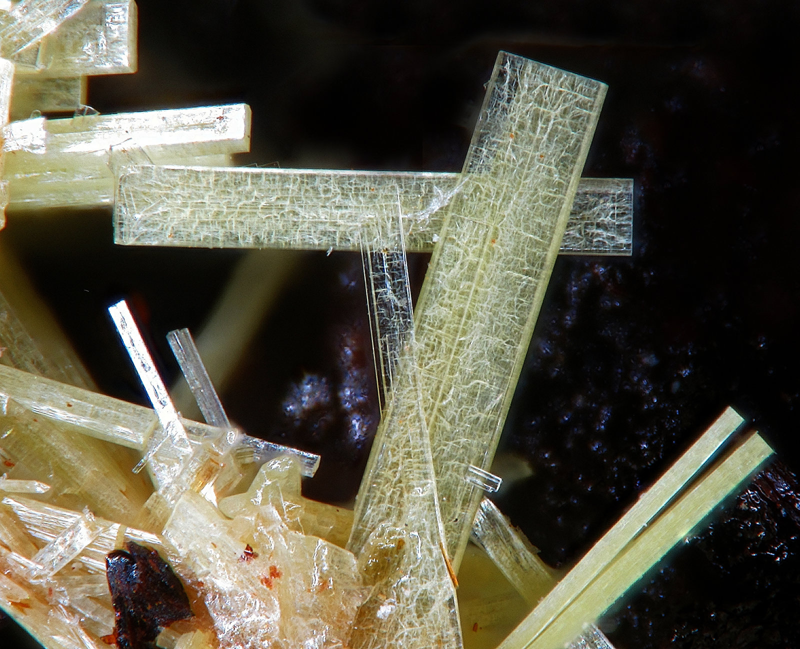 Uranospathite
FOV 3 mm
(Autor: Firmo Espinar)