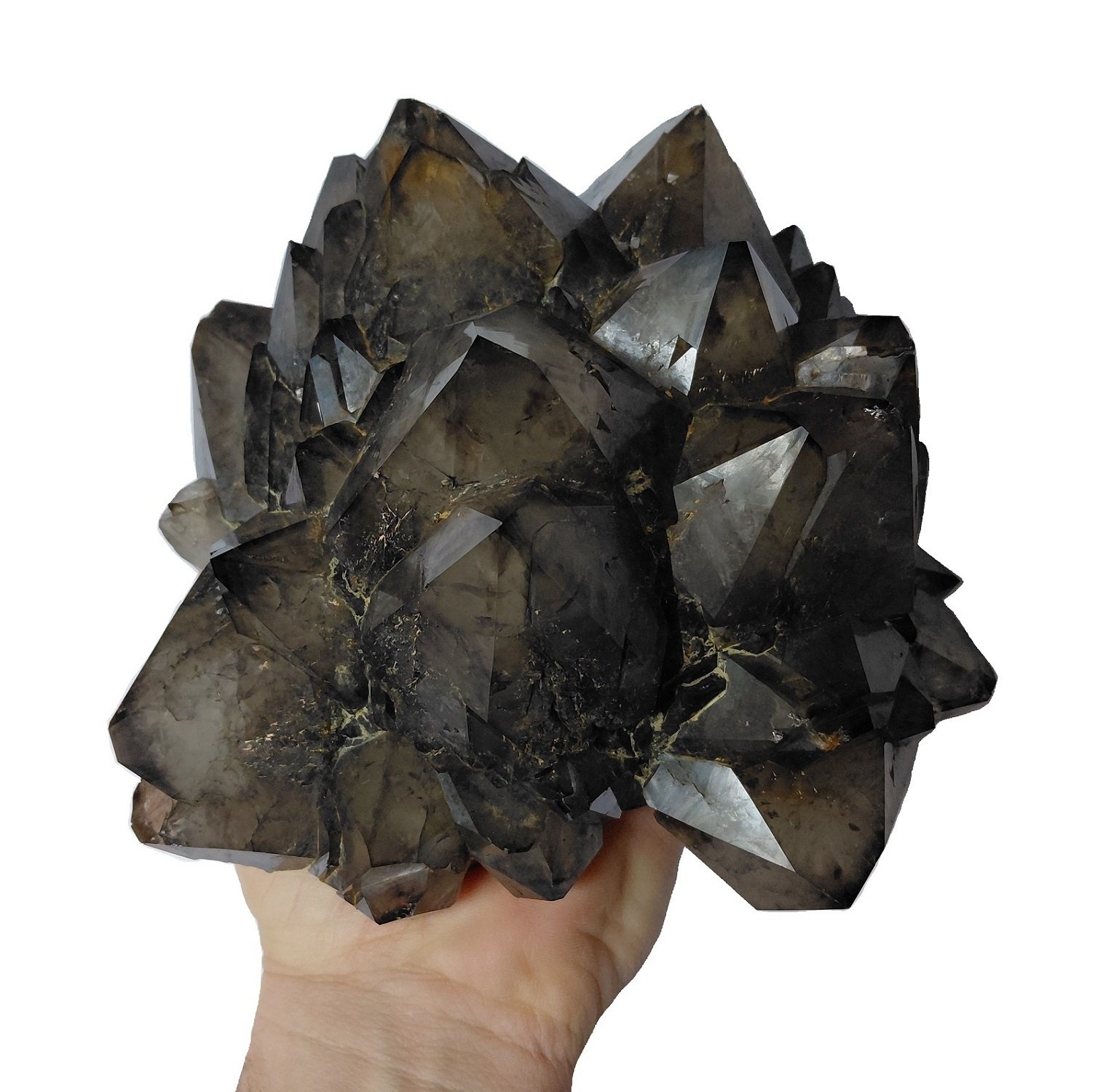Quartz (variety smoky quartz)
Specimen size 18 x 16 cm, largest crystals 6 cm
(Autor: Tobi)