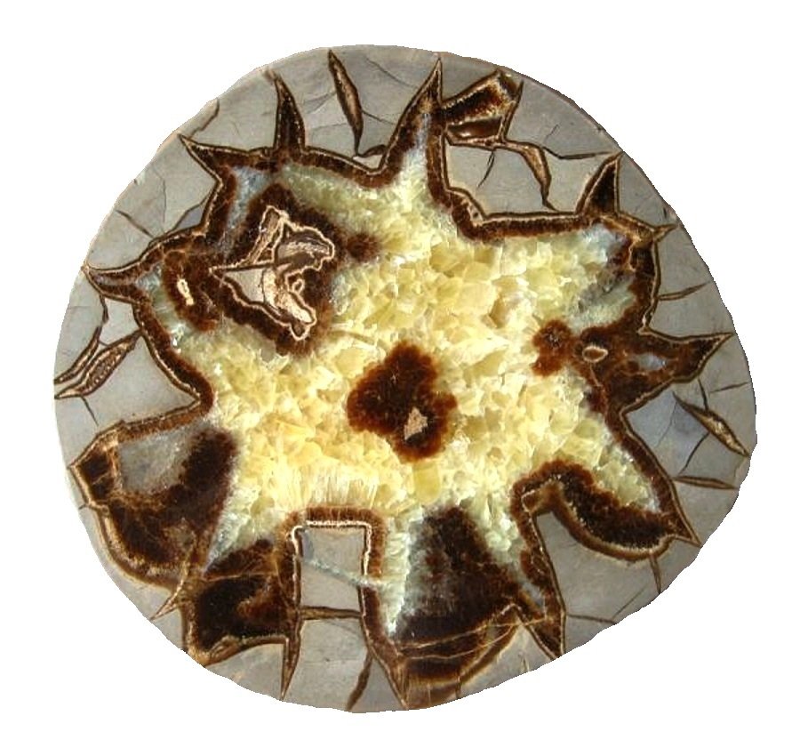 Calcite (septarian nodule)
16 cm
(Autor: Tobi)