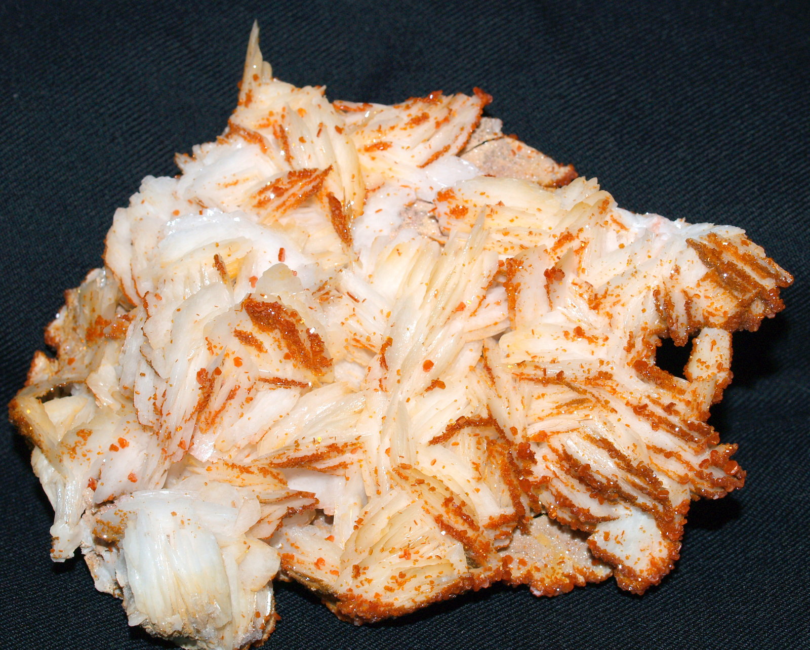 Vanadinite on Barite
14x10x4 cm
(Autor: Joseph DOliveira)