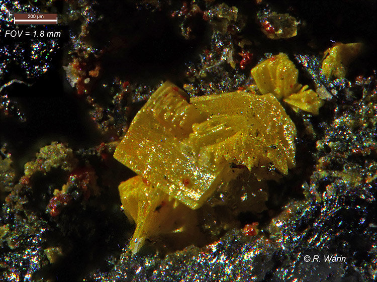 Valentinite
< 1 mm
(Autor: Roger Warin)