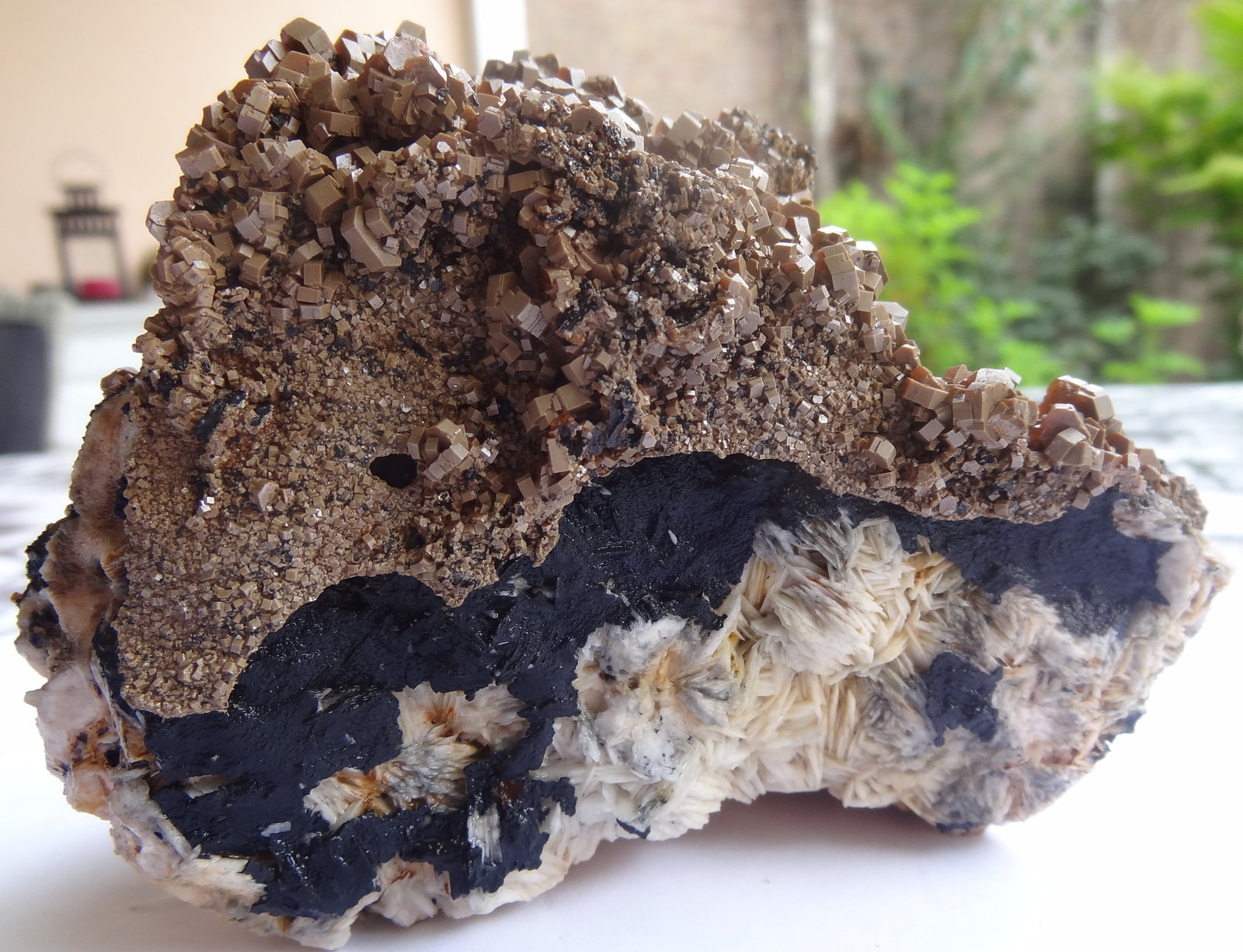 Vanadinite, Mottramite, Barite
10 x 4 x 10 cm
(Autor: Dave van Bladel)
