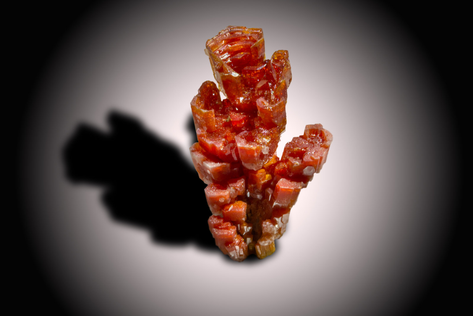 Vanadinite
2 x 3.2 x 2 cm
(Autor: SWK)