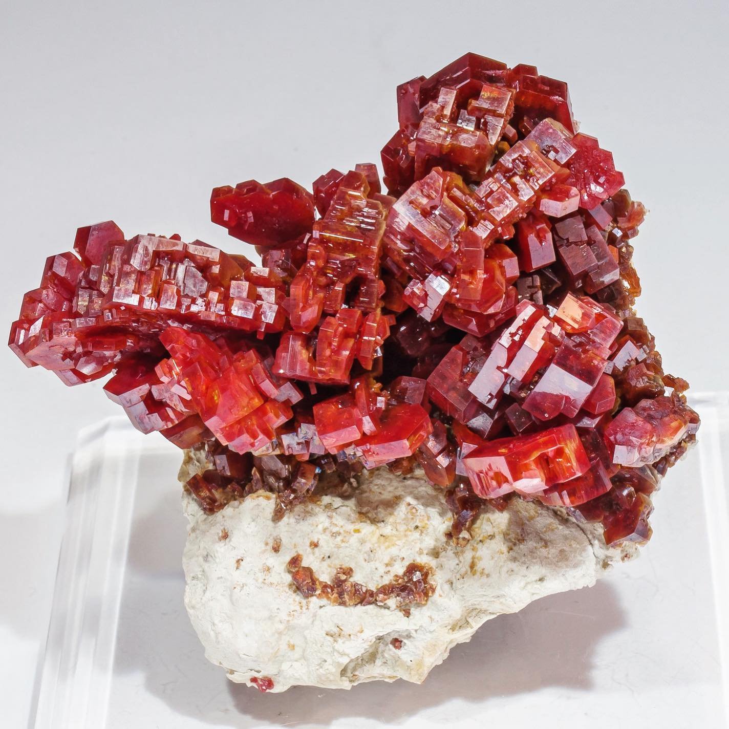 Vanadinite
Specimen size: 6.8 × 3.7 × 6.7 cm / main crystal size: 2.2 × 1.5 cm
(Autor: Jordi Fabre)