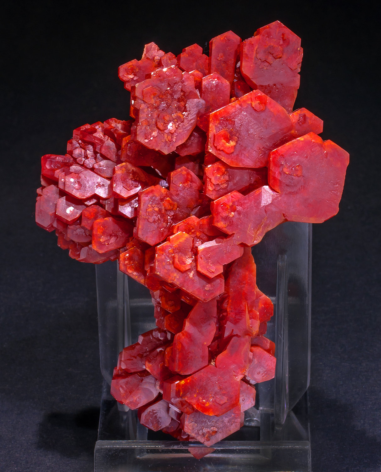 Vanadinite
8.4 × 5.7 × 2 cm
(Autor: Jordi Fabre)