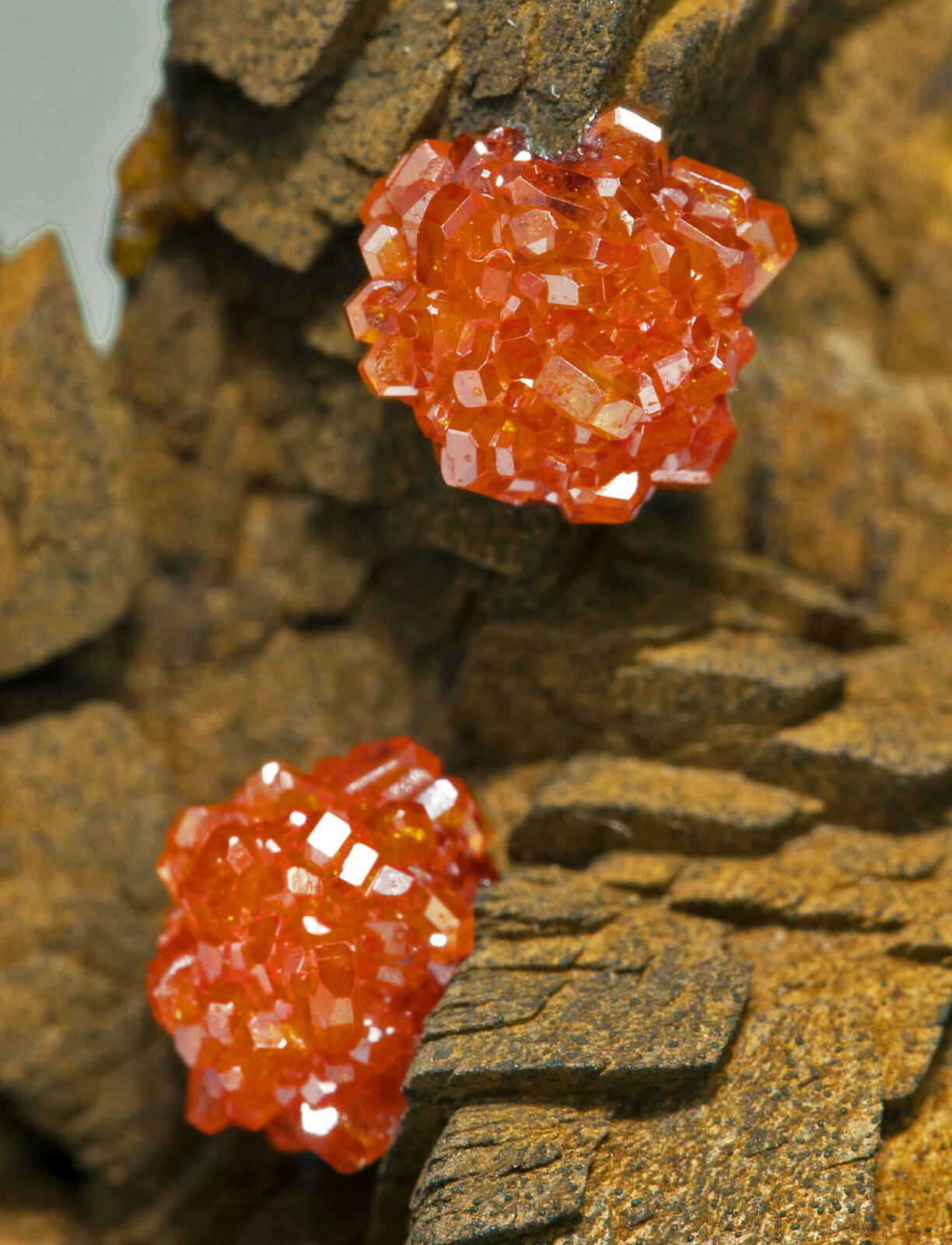 Vanadinite on Siderite
Specimen size: 4.6 × 2.8 × 3.2 cm
(Autor: Jordi Fabre)