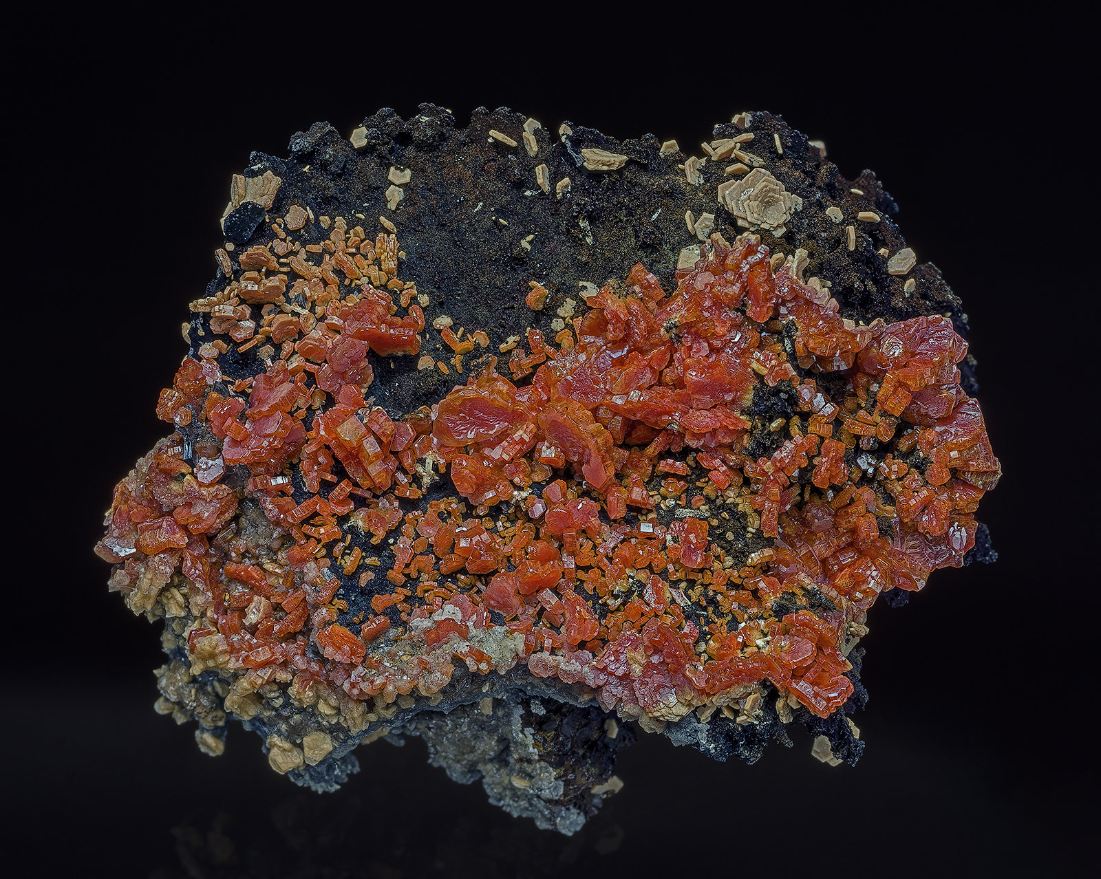 Vanadinite, manganese oxides
5.0 x 4.6 cm
(Autor: am mizunaka)