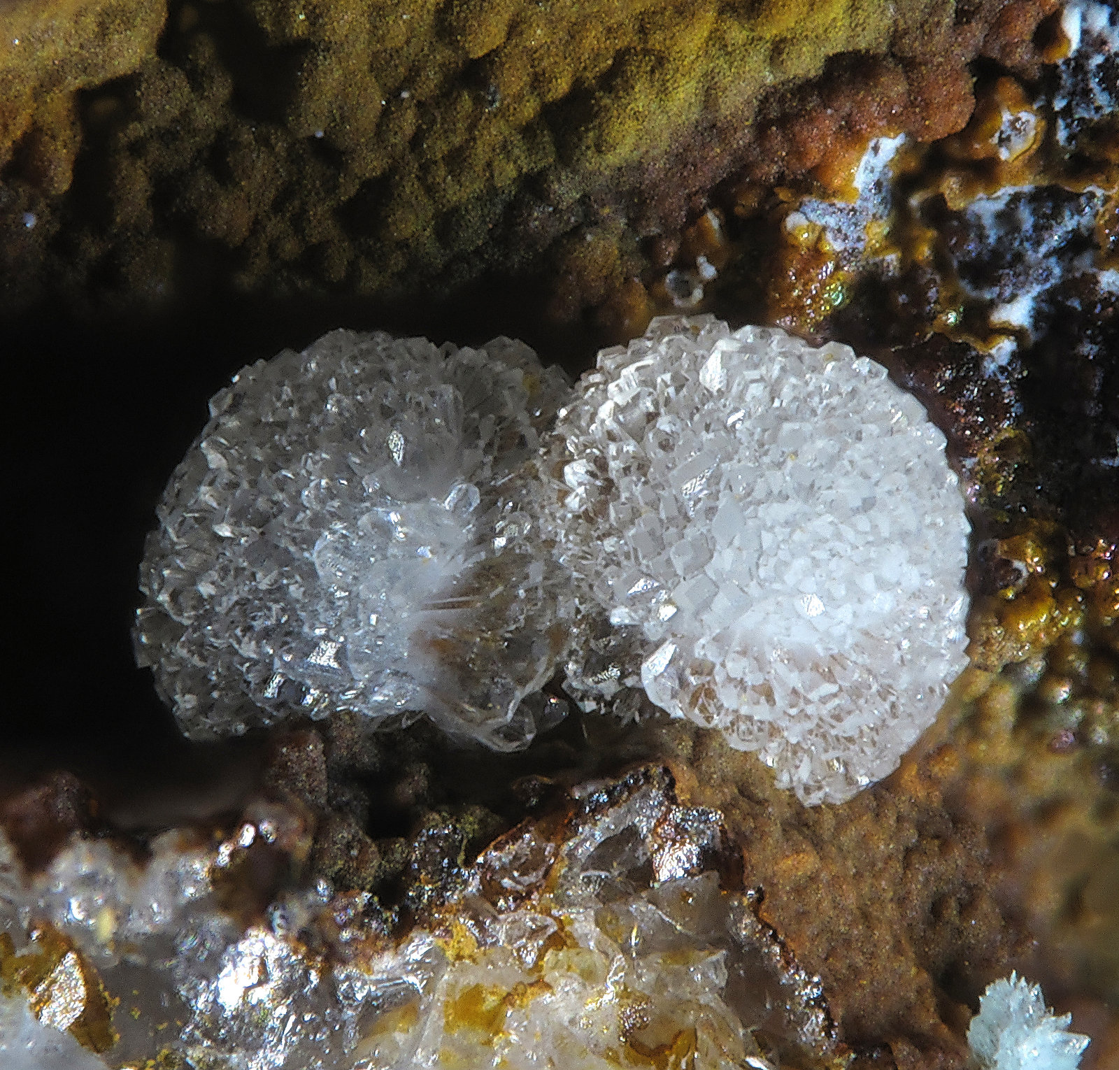 Variscite
fov 1.2 mm
(Autor: Jordi Fabre)