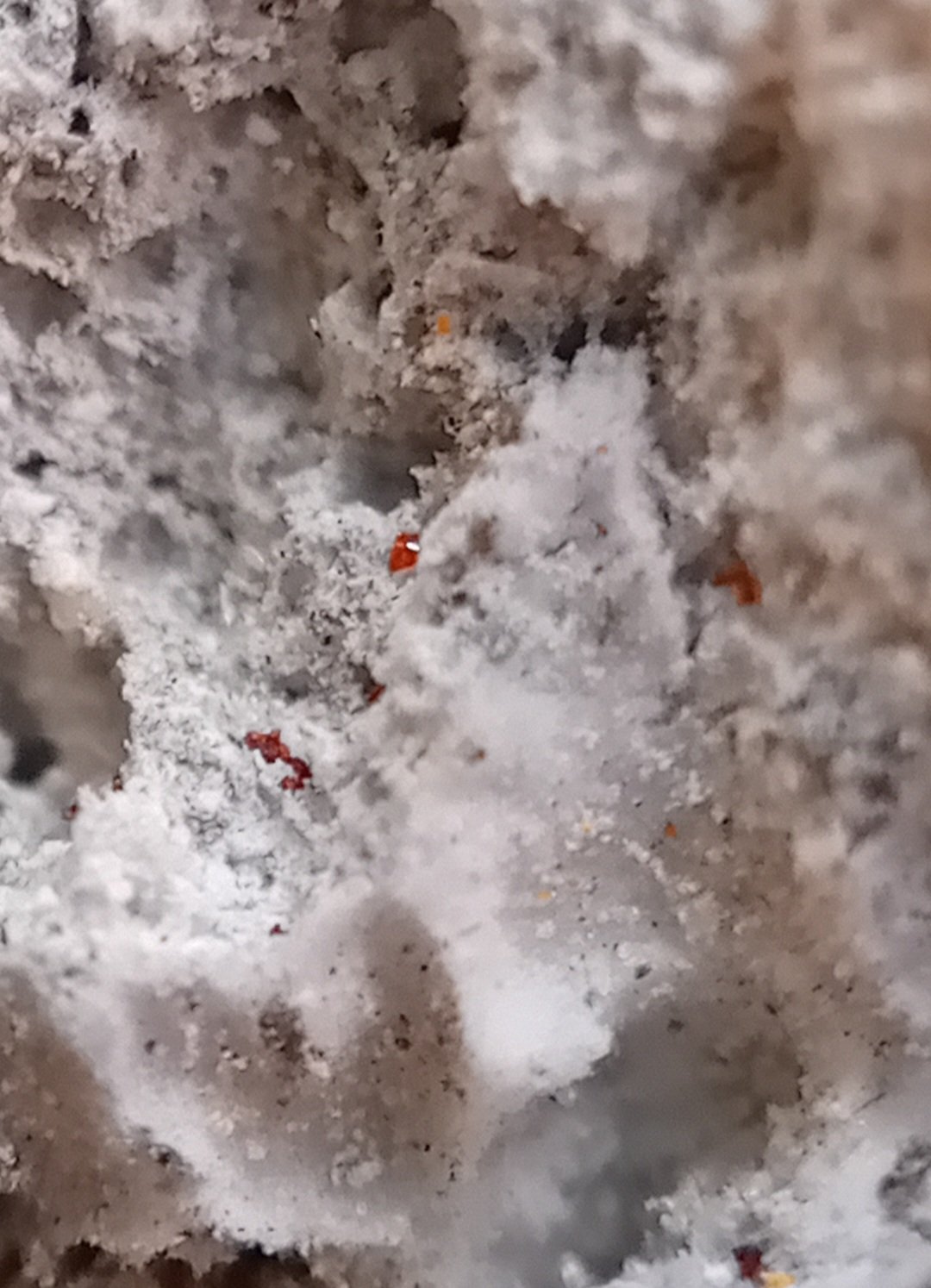Bismoclite
0.1-0.4 mm
(Autor: mineralenzo)