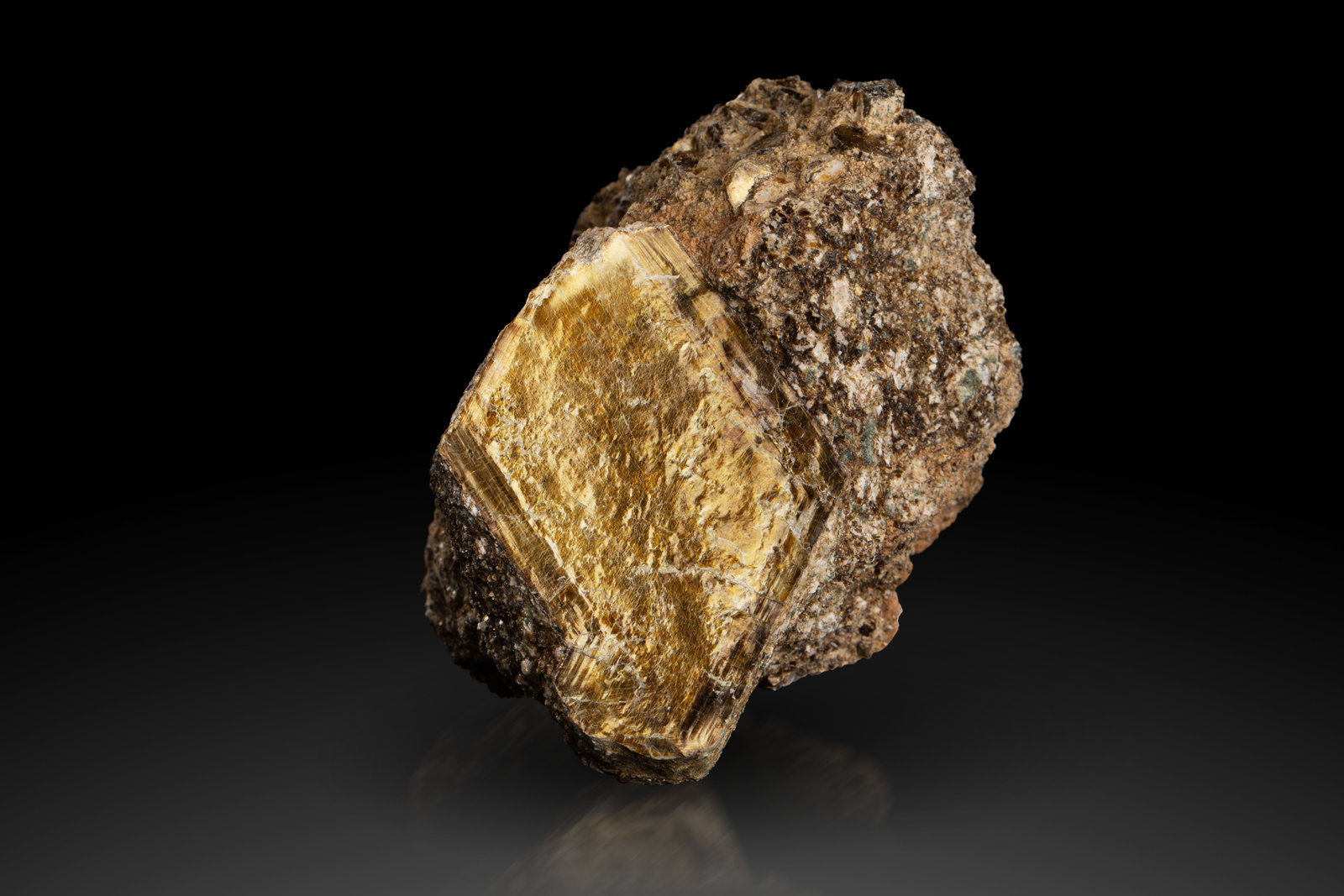Vermiculite
9 x 9 x 9 cm / main crystal: 7.5 cm
(Autor: MIM Museum)