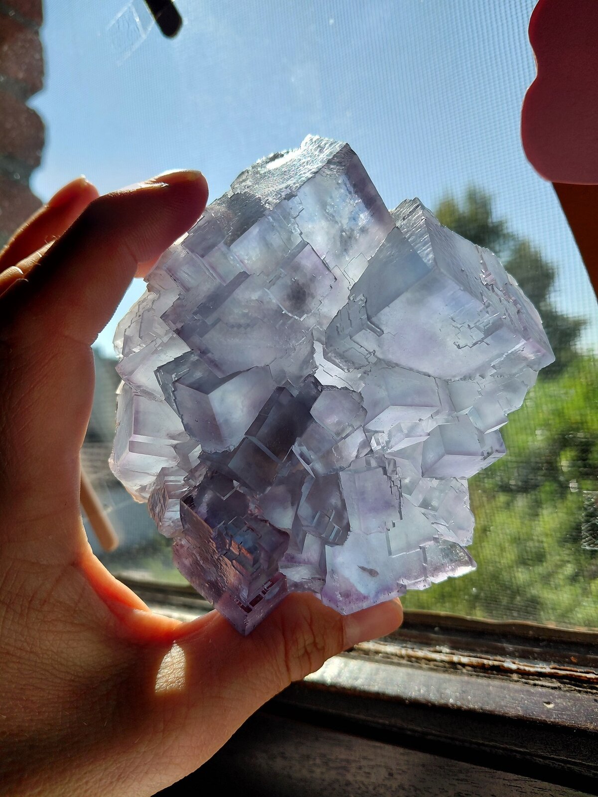 Fluorite
La Viesca Mine, La Collada mining area, Huergo, Siero, Comarca Oviedo, Principality of Asturias (Asturias), Spain
10,5 x 9 cm
(Autor: Tobi)
