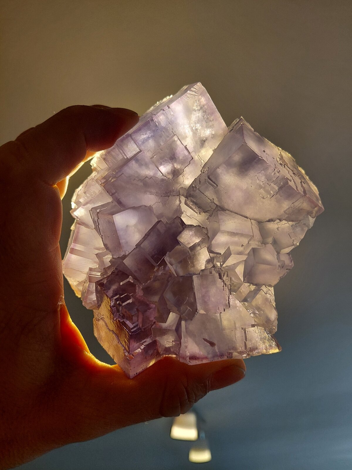 Fluorite
La Viesca Mine, La Collada mining area, Huergo, Siero, Comarca Oviedo, Principality of Asturias (Asturias), Spain
10,5 x 9 cm
(Autor: Tobi)