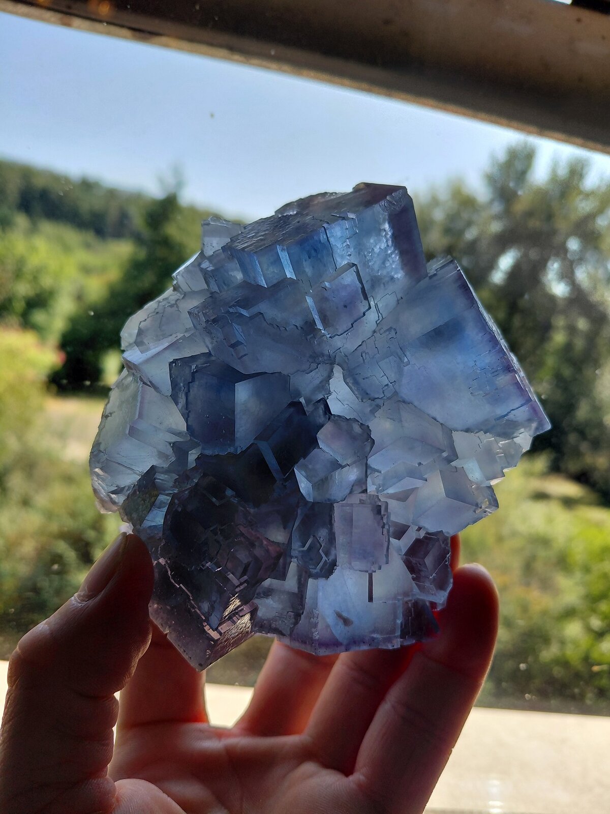 Fluorite
La Viesca Mine, La Collada mining area, Huergo, Siero, Comarca Oviedo, Principality of Asturias (Asturias), Spain
10,5 x 9 cm
(Autor: Tobi)