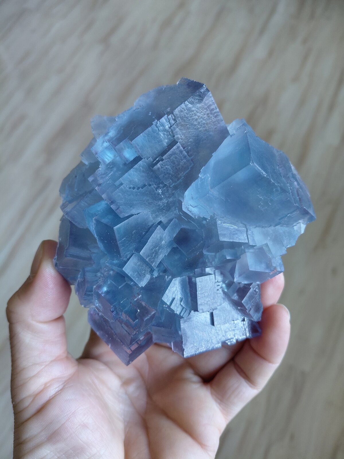 Fluorite
La Viesca Mine, La Collada mining area, Huergo, Siero, Comarca Oviedo, Principality of Asturias (Asturias), Spain
10,5 x 9 cm
(Autor: Tobi)
