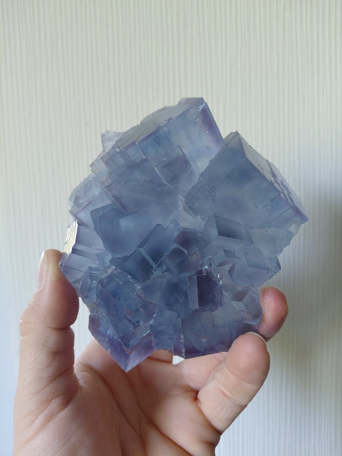 Fluorite
La Viesca Mine, La Collada mining area, Huergo, Siero, Comarca Oviedo, Principality of Asturias (Asturias), Spain
10,5 x 9 cm
(Autor: Tobi)