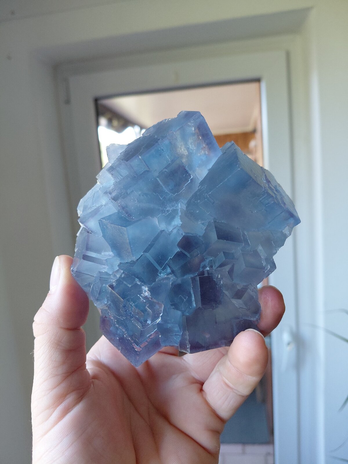 Fluorite
La Viesca Mine, La Collada mining area, Huergo, Siero, Comarca Oviedo, Principality of Asturias (Asturias), Spain
10,5 x 9 cm
(Autor: Tobi)