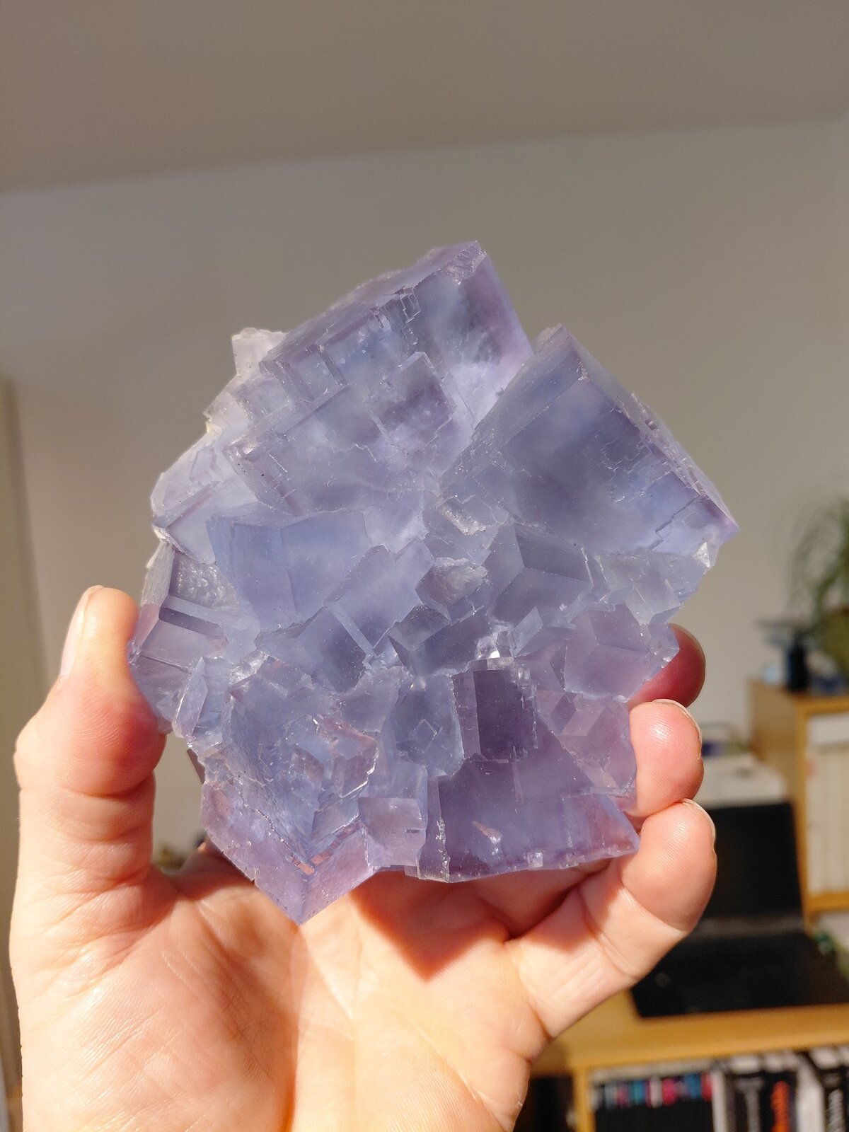 Fluorite
La Viesca Mine, La Collada mining area, Huergo, Siero, Comarca Oviedo, Principality of Asturias (Asturias), Spain
10,5 x 9 cm
(Autor: Tobi)