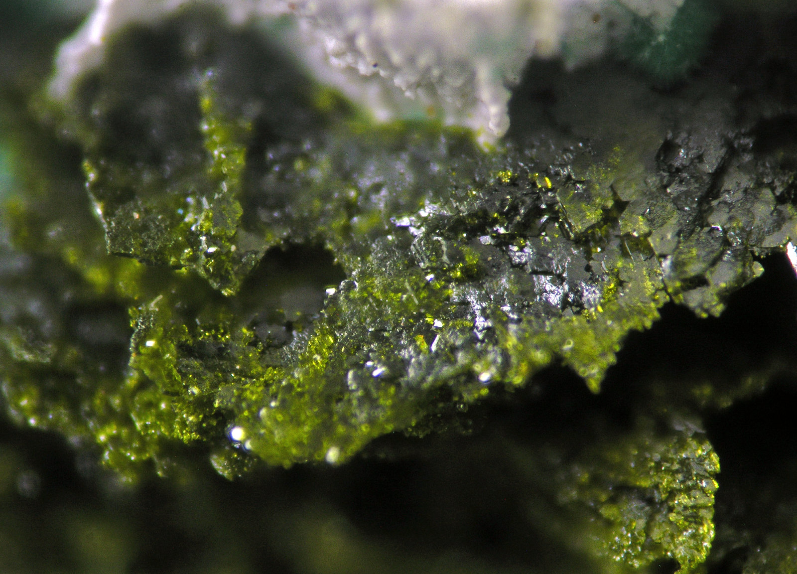 Volborthite
FOV 1 cm
(Autor: Cesar M. Salvan)