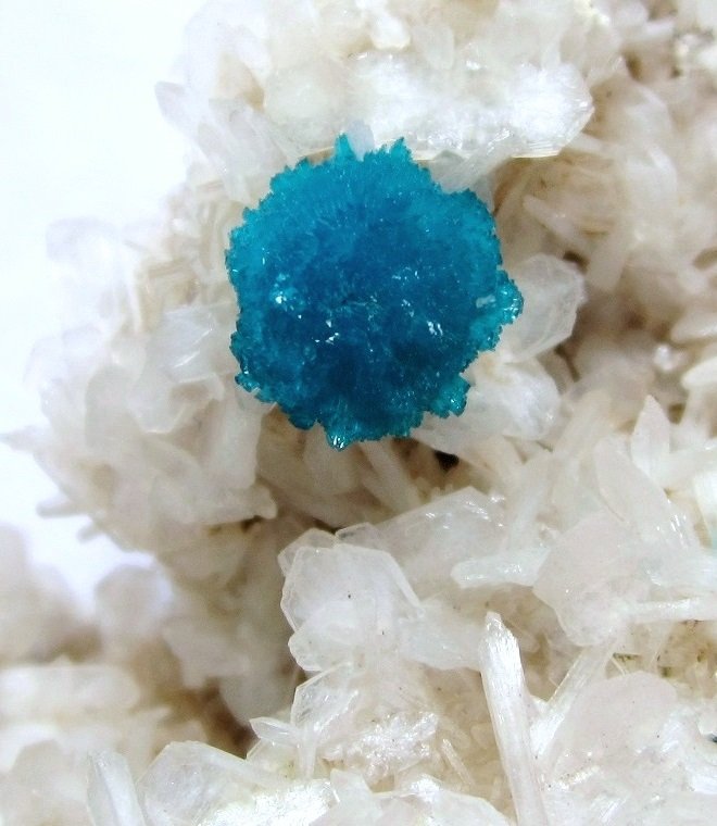 Cavansite, Stilbite
FOV 2 cm
(Autor: Tobi)