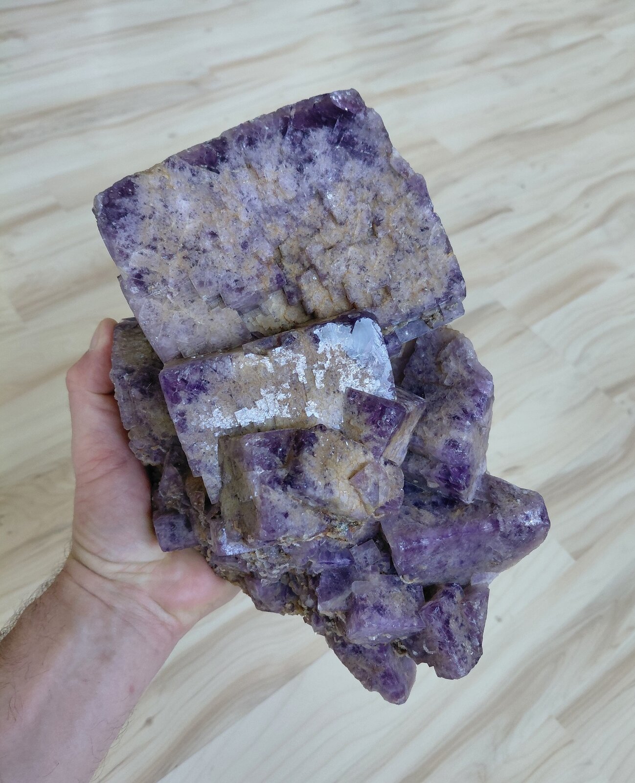 Fluorite
Weardale, North Pennines Orefield, County Durham, England / United Kingdom
Specimen size 24 cm, largest crystal 11 cm
(Autor: Tobi)