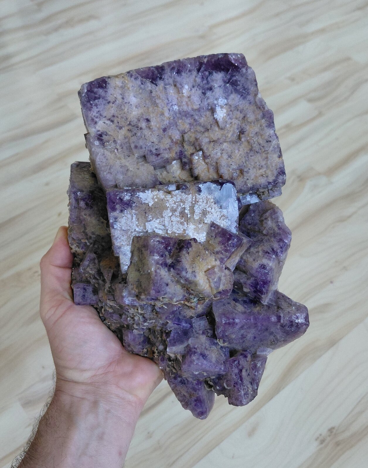 Fluorite
Weardale, North Pennines Orefield, County Durham, England / United Kingdom
Specimen size 24 cm, largest crystal 11 cm
(Autor: Tobi)