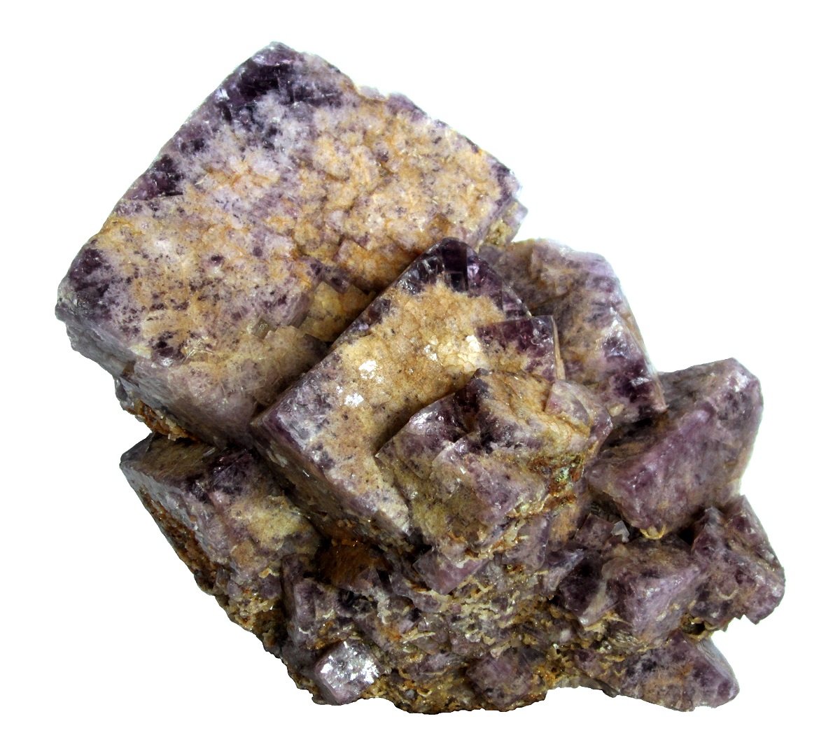 Fluorite, chalcopyrite
Specimen size 24 x 16 cm, largest crystal 11 cm
(Autor: Tobi)