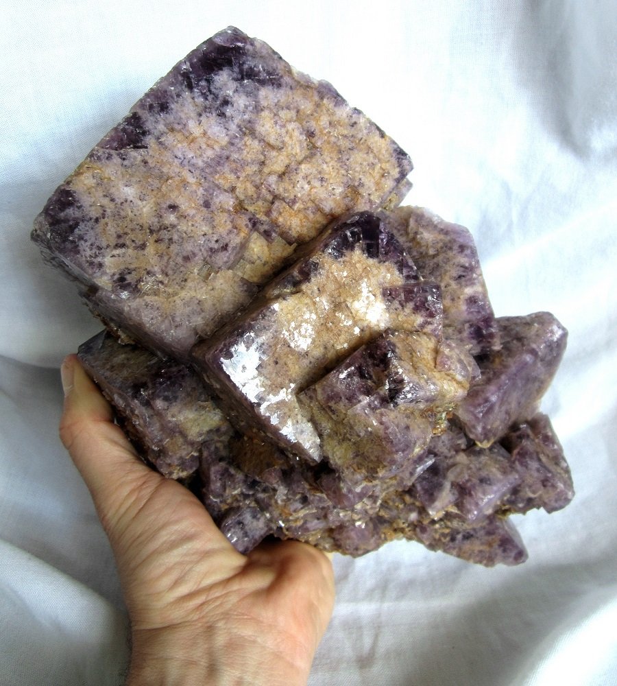 Fluorite, chalcopyrite
Specimen size 24 x 16 cm, largest crystal 11 cm
(Autor: Tobi)