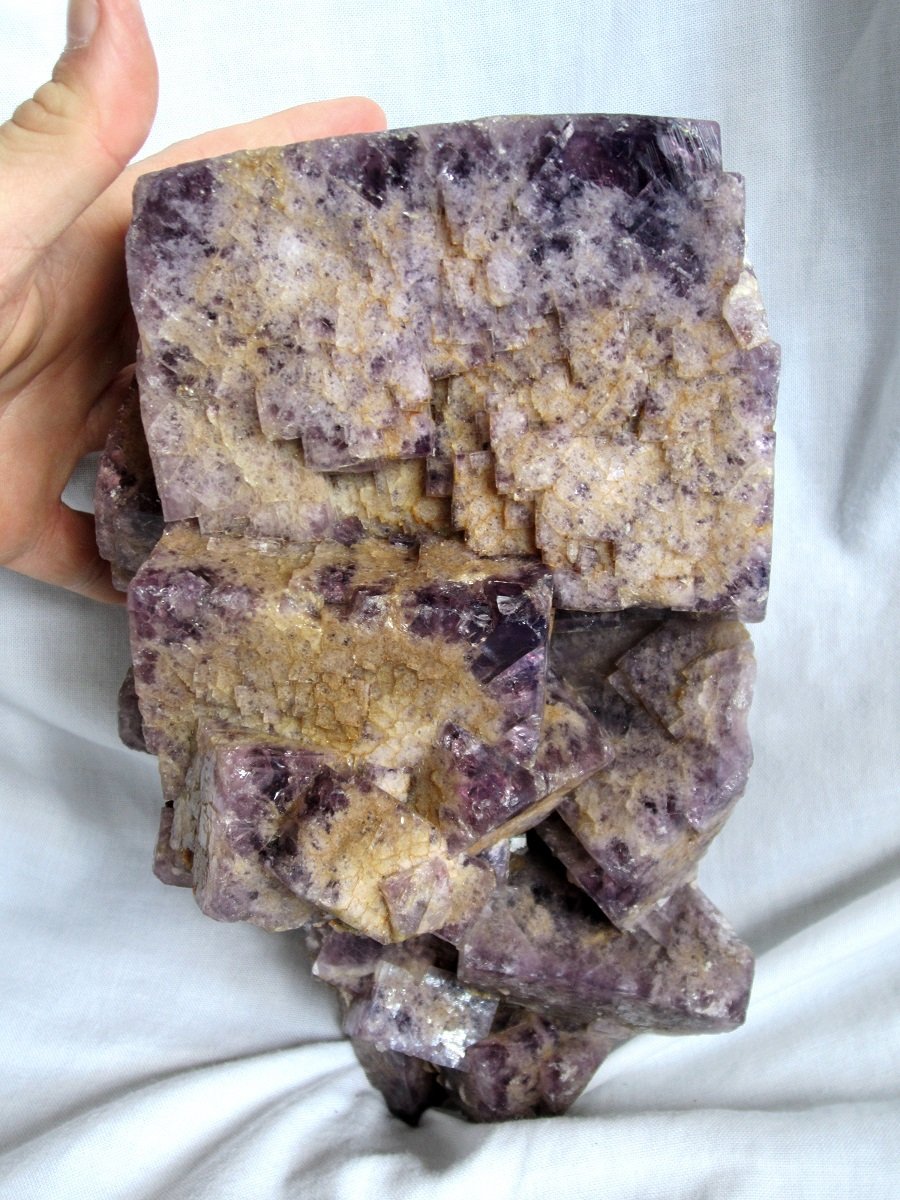 Fluorite, chalcopyrite
Specimen size 24 x 16 cm, largest crystal 11 cm
(Autor: Tobi)