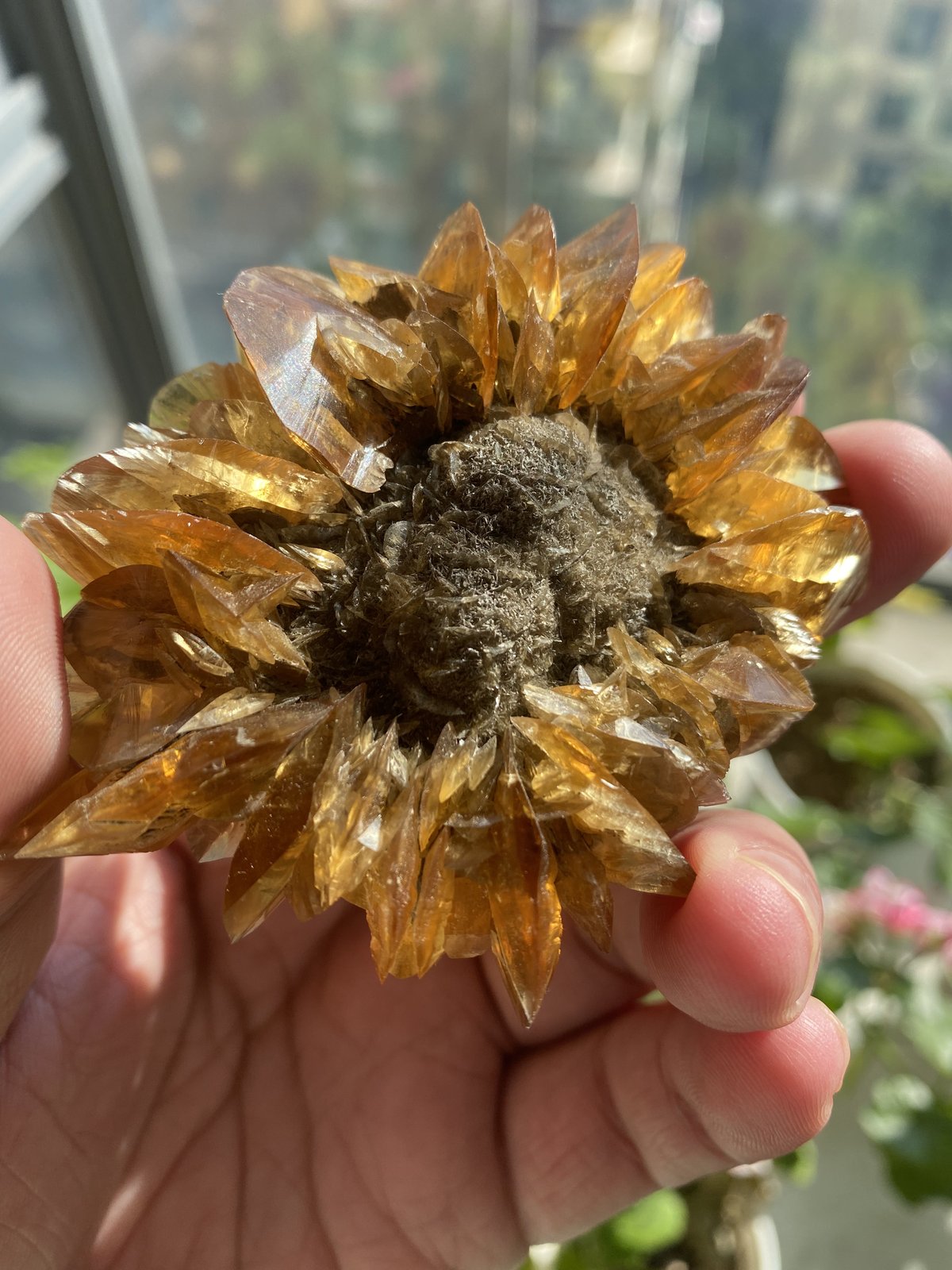 Gypsum
8.3 x 6.4 x 2.5 cm
(Autor: xdxucn)